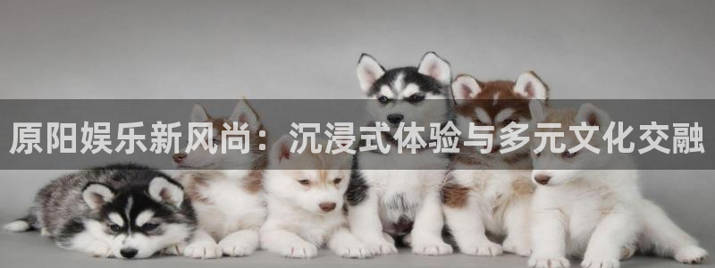 米乐yy易游m6网址：原阳娱乐新风尚：沉浸式体验与多元文化交融