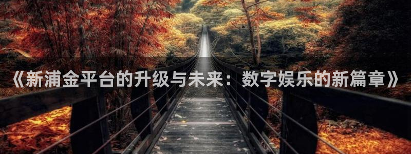 yy易游vip：《新浦金平台的升级与未来：数字娱乐的新篇章》